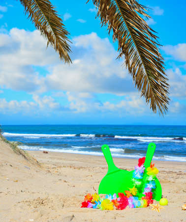 green beach rackets under palm branchesの写真素材