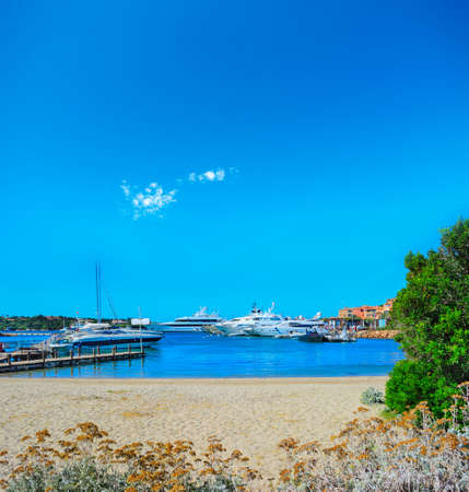 luxury yachts in Porto Cervo harbor, Sardiniaの写真素材
