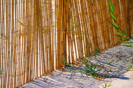 reeds fence at beach entrance in Alghero, Italyの写真素材