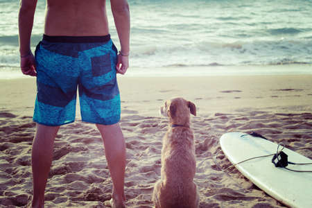 surfer and dog with a surfboard on the beachの写真素材
