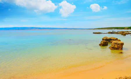 golden sand in Alghero shoreline, Italyの写真素材