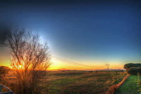 clear sky over a green field at sunsetの写真素材