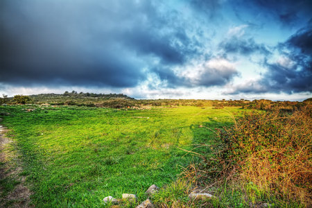 grey sky over a green meadow at sunsetの写真素材
