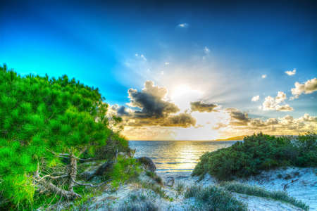 shining sun at sunset in Maria Pia, Sardiniaの写真素材