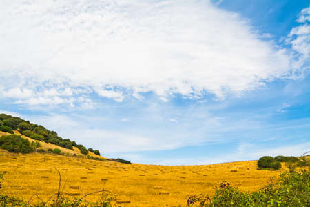 hay field under a cloudy sky in Sardinia, Italyの写真素材