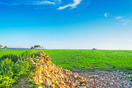 green meadow under a clear sky in Sardinia, Italyの写真素材