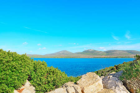 Porto Conte shoreline on a clear day, Italyの写真素材