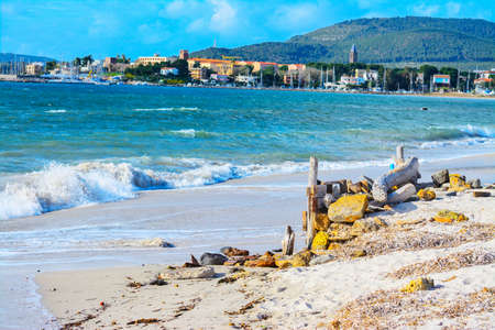 rocks and driftwood by the shore in Alghero, Italyの写真素材