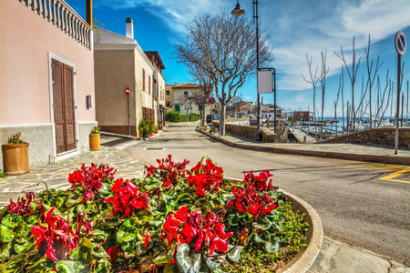 Stintino seafront in the springtime, Sardinia