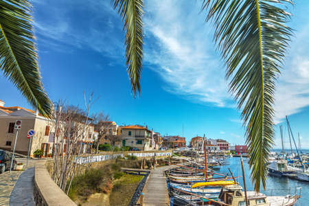 palm branches in Stintino old harbor, Sardiniaの写真素材