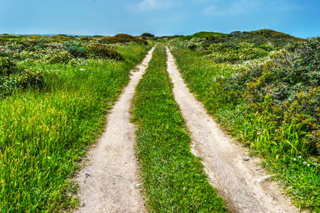 dirt road on a clear day in Sardinia, Italyの写真素材