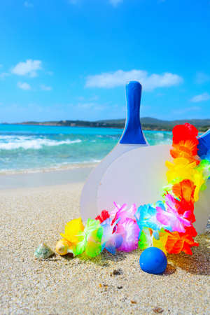beach rackets and shells on a tropical beachの写真素材