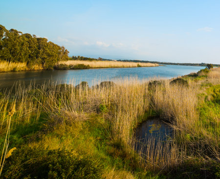 Calik lagoon in Alghero, Sardiniaの写真素材