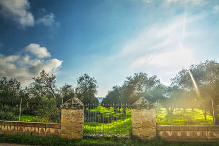 metal fence in the countryside in Sardinia, Italyの写真素材
