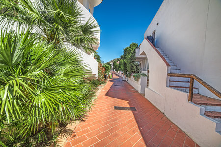 walk path in Poltu Quatu, Sardiniaの写真素材