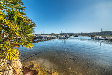 detail of Cannigione harbor in Sardinia, Italyの写真素材