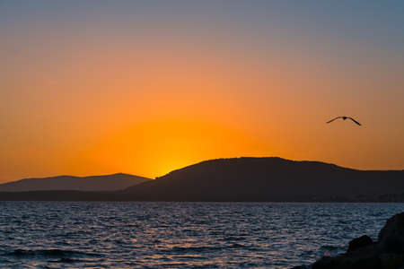 seagull flying over the sea at sunset in Sardinia, Italyの写真素材