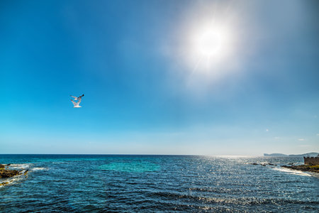 shining sun over Alghero coast, Sardinia