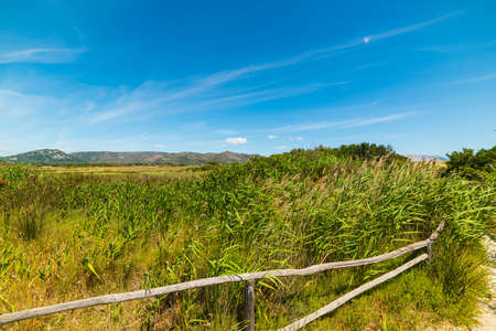 green field and blue sky in Sardinia, Italyの写真素材