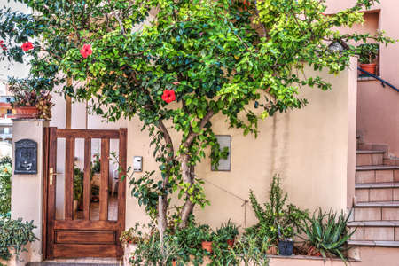 hibiscus plants buy a picturesque house in Sardinia, Italyのeditorial素材