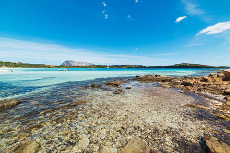 boats in Cala Brandinchi, Sardiniaの写真素材