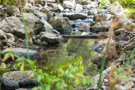 rocks and plants in a small creek, Sardiniaの写真素材