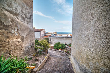 Picturesque corner in Casterlsardo, Sardiniaの写真素材