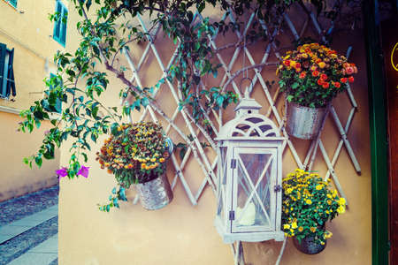 close up of flower pots in Sardinia, Italyの写真素材