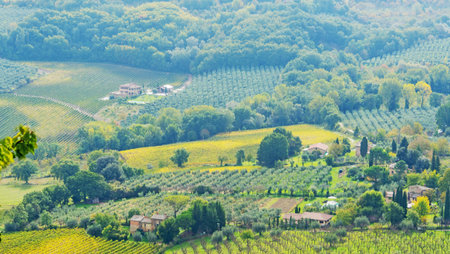 Tuscany countryside on a sunny day, Sardinia