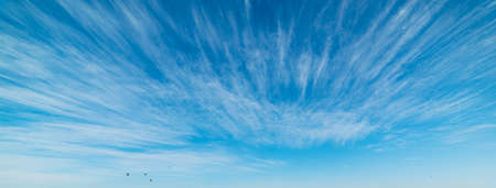 blue sky with white, soft cloudsの写真素材