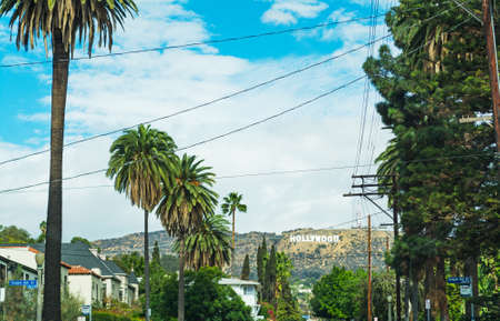 Hollywood sign with palm trees in the foreground, Californiaのeditorial素材