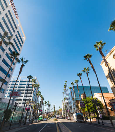 BEVERLY HILLS, CALIFORNIA - NOVEMBER 02, 2016: Skyscrapers and palm trees in Beverly Hillsのeditorial素材