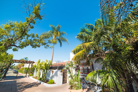 Tropical garden in Old Town San Diego, Californiaの写真素材