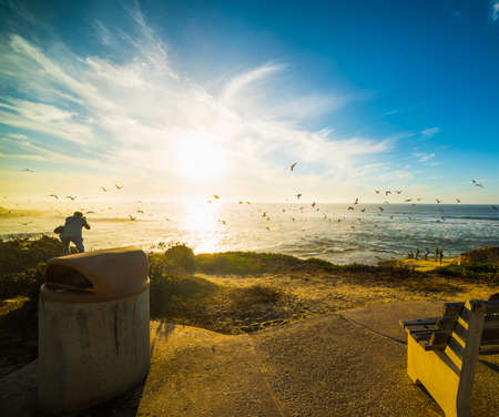 flock of seagull flying in La Jolla at sunset, Californiaの写真素材
