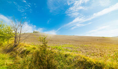 VAL D'ORCIA, ITALY - OCTOBER 14, 2016: Typical landscape in Tuscany, Italyの写真素材
