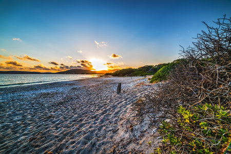 colorful sunset in Maria Pia beach, Sardiniaの写真素材