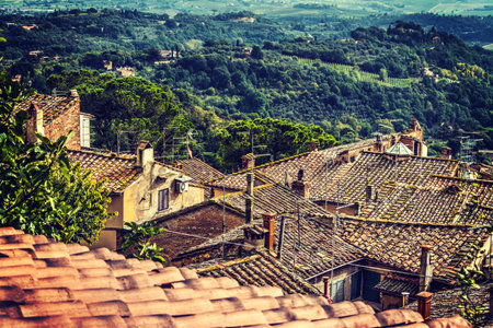 Old roofs in Tuscany, Italyの写真素材