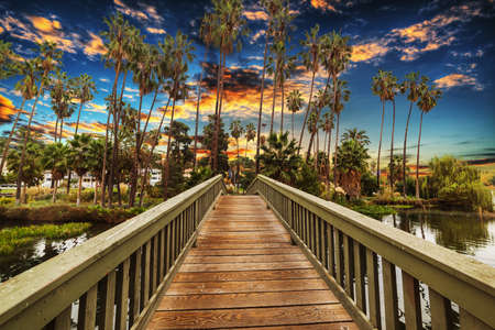 colorful sunset in Echo Park, Los Angelesの写真素材