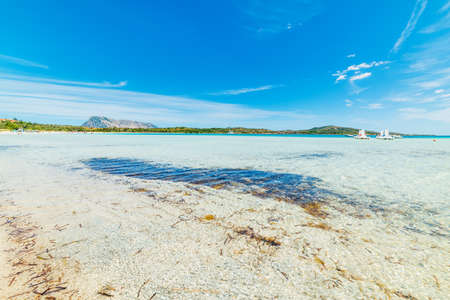 Cala Brandinchi on a sunny day, Sardiniaの写真素材