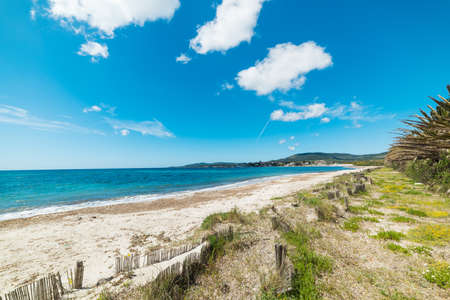 sandy shore in Alghero, Sardiniaの写真素材