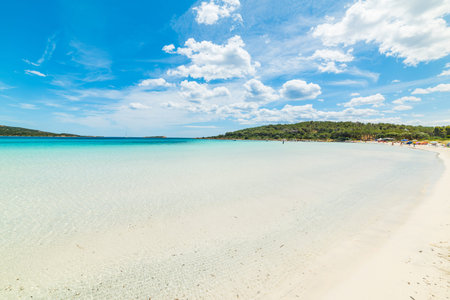 Clear water in Cala Brandinchi, Sardiniaの写真素材