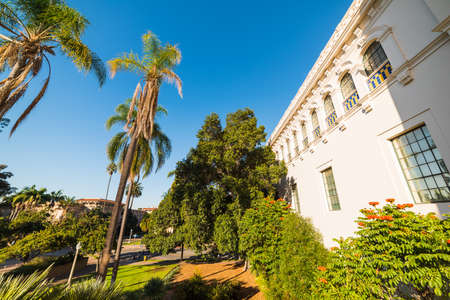 Palm trees in Balboa park, Californiaのeditorial素材