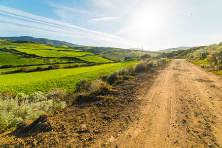 Green field and dirt road in Sardinia, Italyの写真素材