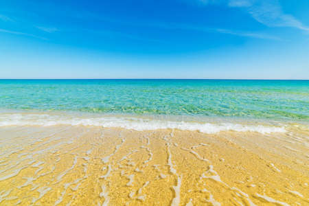Golden sand and turquoise water in Cala Sinzias, Sardiniaの写真素材