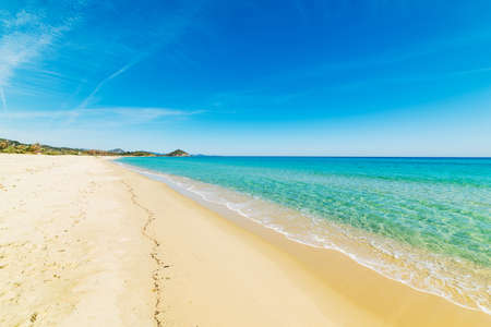 Golden shore in Cala Sinzias, Sardiniaの写真素材