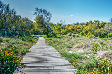 Wooden boardwalk in a gren park in Sardinia