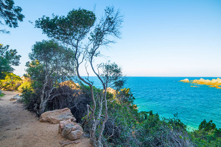 Costa Paradiso in spring, Sardiniaの写真素材