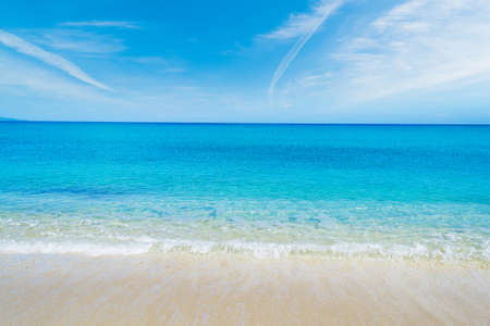 Fiume Santo shoreline in spring, Sardiniaの写真素材