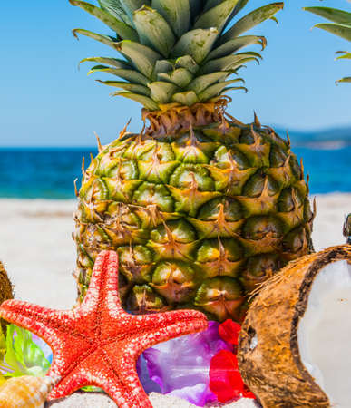 Close up of star fish and tropical fruits on the beachの写真素材