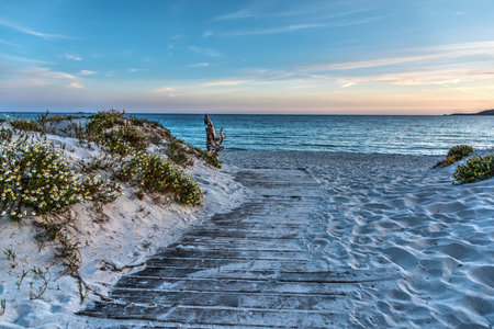 Boardwalk in sunset.の写真素材